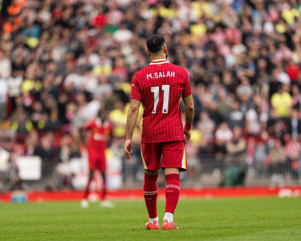 入适量的新 入适量的新