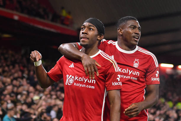 新星的成长 新星的成长