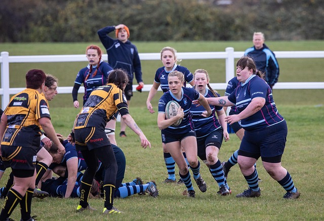 他一直在寻 他一直在寻